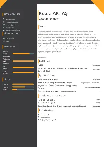 Çocuk Bakıcısı CV Örnekleri cv indir